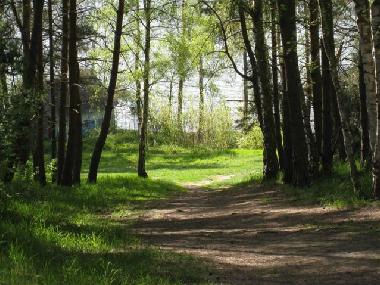 Ferienhaus in Lenz (Mecklenburgische Seenplatte) oder Ferienwohnung oder Ferienhaus