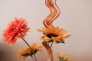 Ferienwohnung in �safj�r�ur (Isafjordur) oder Ferienwohnung oder Ferienhaus