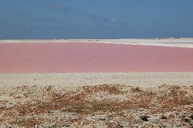 Ferienwohnung in Kralendijk (Bonaire) oder Ferienwohnung oder Ferienhaus