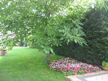 Ferienhaus in DESENZANO DEL GARDA (Brescia) oder Ferienwohnung oder Ferienhaus