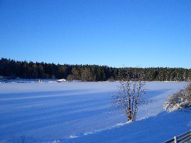 Das Waldseebad im Winter