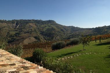Blick von der Terrasse in den hinteren Garten und Ripatransone