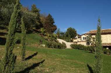 Blick vom Olivenhain zu den Husern