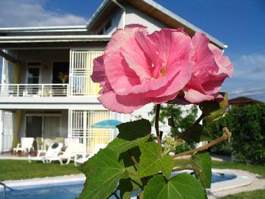 Ferienhaus in Playa Carrillo (Guanacaste) oder Ferienwohnung oder Ferienhaus