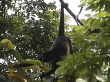 Ferienhaus in Playa Carrillo (Guanacaste) oder Ferienwohnung oder Ferienhaus