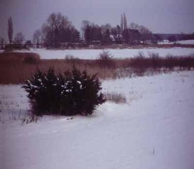 Winter an der Schoritzer Wiek