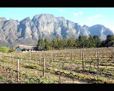 Hotel in Franschhoek (Western Cape) oder Ferienwohnung oder Ferienhaus