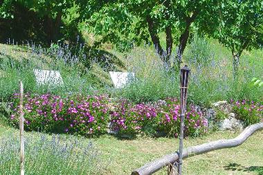 Ferienhaus in Barga (Lucca) oder Ferienwohnung oder Ferienhaus