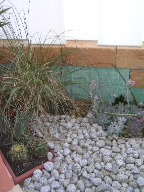 Villa in Sassari (Sassari) oder Ferienwohnung oder Ferienhaus