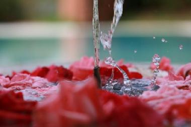 Pension in Marrakech (Marrakech) oder Ferienwohnung oder Ferienhaus