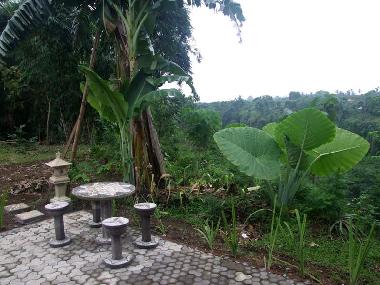 Ferienhaus in Sambangan, Singaraja (Bali) oder Ferienwohnung oder Ferienhaus