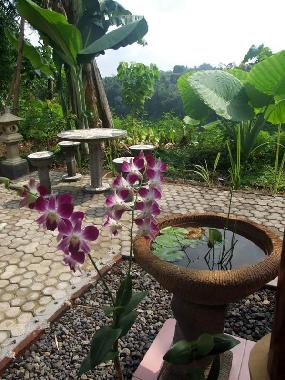 Ferienhaus in Sambangan, Singaraja (Bali) oder Ferienwohnung oder Ferienhaus