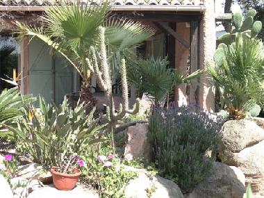 Ferienhaus in Porto Vecchio (Corse-du-Sud) oder Ferienwohnung oder Ferienhaus