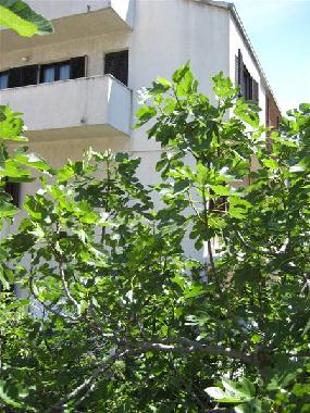 Ferienwohnung in Split (Splitsko-Dalmatinska) oder Ferienwohnung oder Ferienhaus