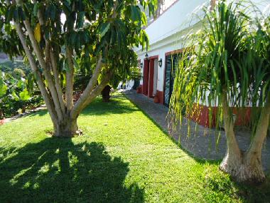 Ferienwohnung in Machico (Porto da Cruz) (Madeira) oder Ferienwohnung oder Ferienhaus
