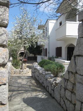 Ferienwohnung in Klenovica (Primorsko-Goranska) oder Ferienwohnung oder Ferienhaus