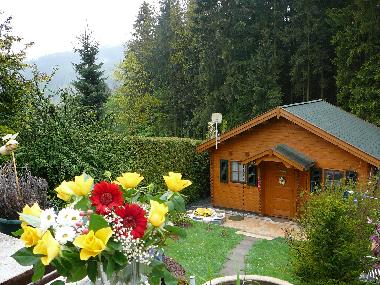 Ferienhaus in Amtsberg (Erzgebirge) oder Ferienwohnung oder Ferienhaus