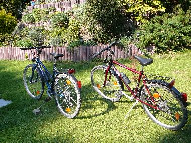 Ferienhaus in Amtsberg (Erzgebirge) oder Ferienwohnung oder Ferienhaus