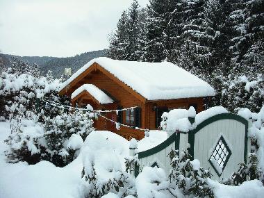 Ferienhaus in Amtsberg (Erzgebirge) oder Ferienwohnung oder Ferienhaus