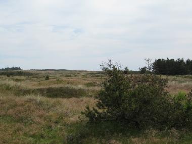 Landschaft um das Haus