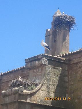 Ferienwohnung in Cceres (Cceres) oder Ferienwohnung oder Ferienhaus