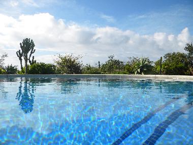 Villa in Torrox (M�laga) oder Ferienwohnung oder Ferienhaus