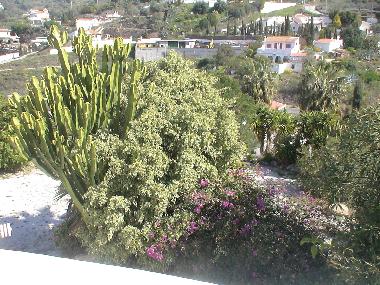 Villa in Torrox (M�laga) oder Ferienwohnung oder Ferienhaus