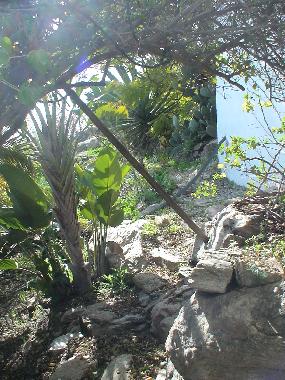 Villa in Torrox (M�laga) oder Ferienwohnung oder Ferienhaus