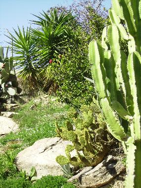 Villa in Torrox (M�laga) oder Ferienwohnung oder Ferienhaus