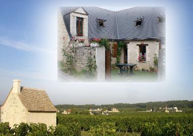 Ferienhaus in Ingrandes de Touraine (Centre) oder Ferienwohnung oder Ferienhaus