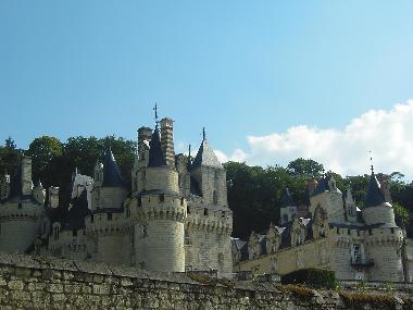 Ferienhaus in Ingrandes de Touraine (Centre) oder Ferienwohnung oder Ferienhaus