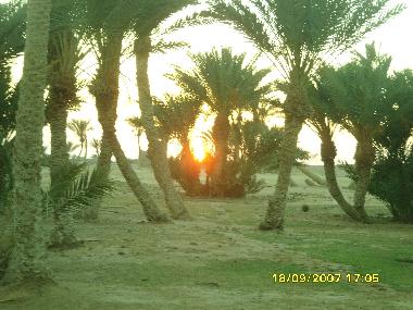 Ferienwohnung in Sharm (Janub Sina