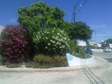 Ferienwohnung in Carvoeiro (Algarve) oder Ferienwohnung oder Ferienhaus