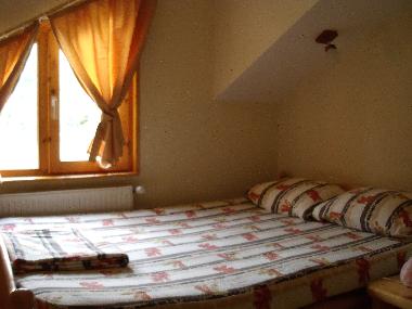 Ferienhaus in Valisoara (Alba) oder Ferienwohnung oder Ferienhaus