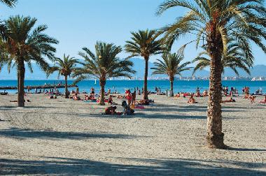 Ferienwohnung in Palma de Mallorca (Mallorca) oder Ferienwohnung oder Ferienhaus