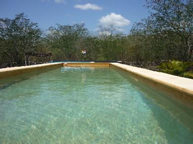 Ferienwohnung in Cuzama (Yucatan) oder Ferienwohnung oder Ferienhaus