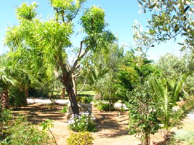 Ferienhaus in Ses Salines (Mallorca) oder Ferienwohnung oder Ferienhaus