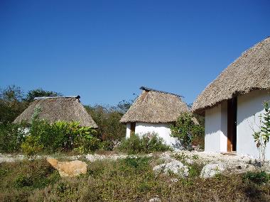 Ferienwohnung in Cuzama (Yucatan) oder Ferienwohnung oder Ferienhaus