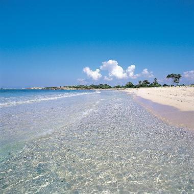 Ferienwohnung in Colonia de Sant Jordi (Mallorca) oder Ferienwohnung oder Ferienhaus