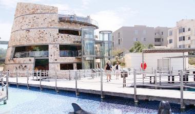 Ferienwohnung in Colonia de Sant Jordi (Mallorca) oder Ferienwohnung oder Ferienhaus