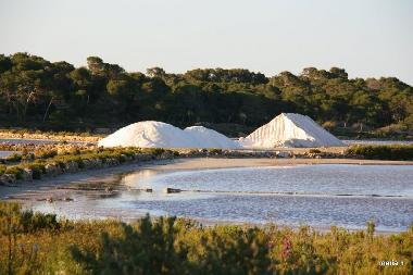 Ferienwohnung in Colonia de Sant Jordi (Mallorca) oder Ferienwohnung oder Ferienhaus