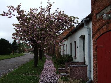 Ferienhaus in S�llenthin (Prignitz) oder Ferienwohnung oder Ferienhaus