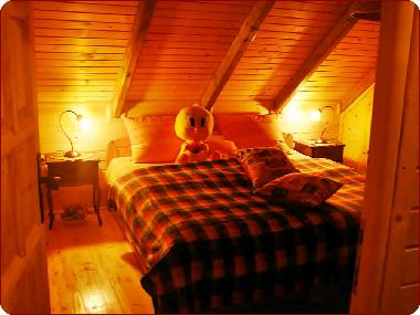 Ferienhaus in Kolasin (Montenegro) oder Ferienwohnung oder Ferienhaus