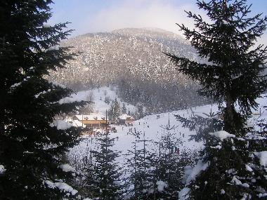 Ferienhaus in Kolasin (Montenegro) oder Ferienwohnung oder Ferienhaus