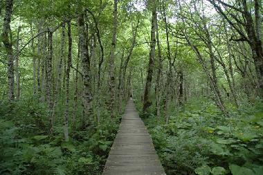 Ferienhaus in Kolasin (Montenegro) oder Ferienwohnung oder Ferienhaus