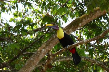 Nationalpark Manuel Antonio
