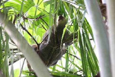 Nationalpark Manuel Antonio