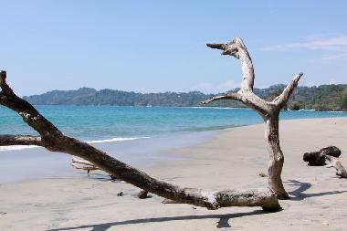 Nationalpark Manuel Antonio