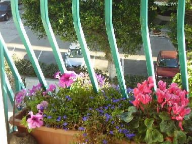 Ferienwohnung in Tel Aviv (Tel Aviv) oder Ferienwohnung oder Ferienhaus