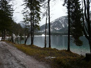 Plansee